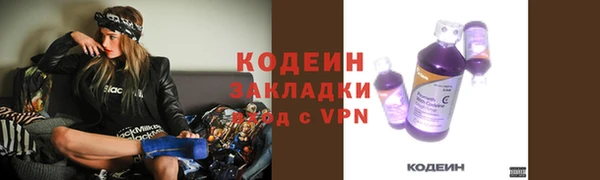 сатива Кодинск