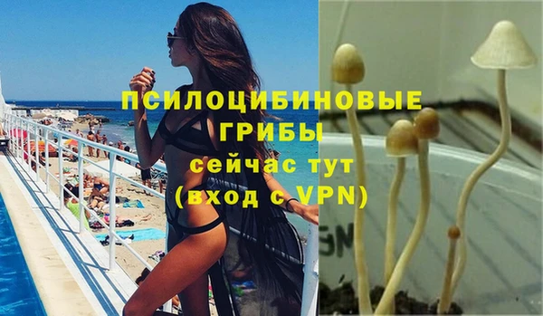 экстази Козловка
