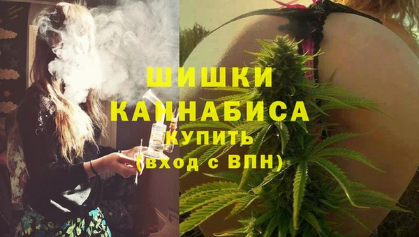 сатива Кодинск
