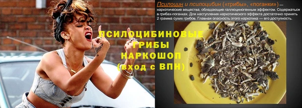 spice Козельск