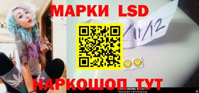 крисы Абакан