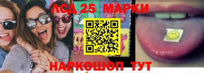 крисы Абакан