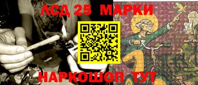 гидропоника Новозыбков