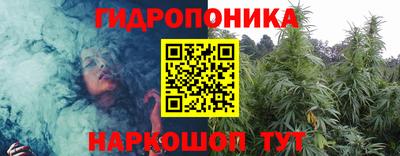 крисы Абакан