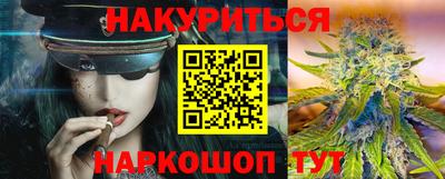 крисы Абакан
