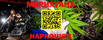 гидропоника Новозыбков