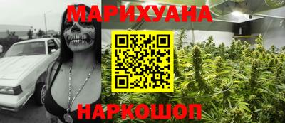 крисы Абакан
