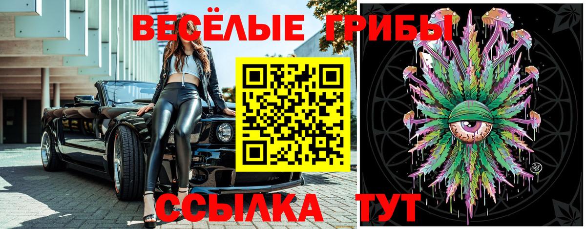Псилоцибиновые грибы Psilocybine cubensis  Вход с VPN  Реутов 