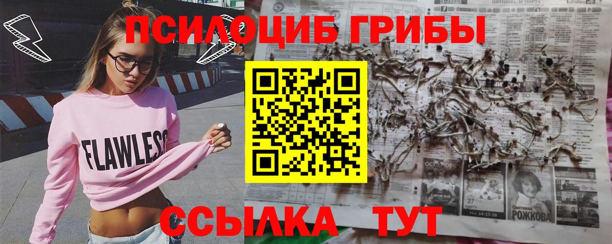 Псилоцибиновые грибы Psilocybine cubensis  Вход с VPN  Реутов 
