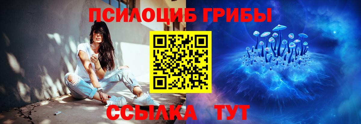 Псилоцибиновые грибы GOLDEN TEACHER Реутов