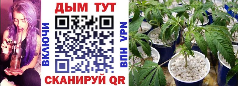 купить   Реутов  Конопля тримм 